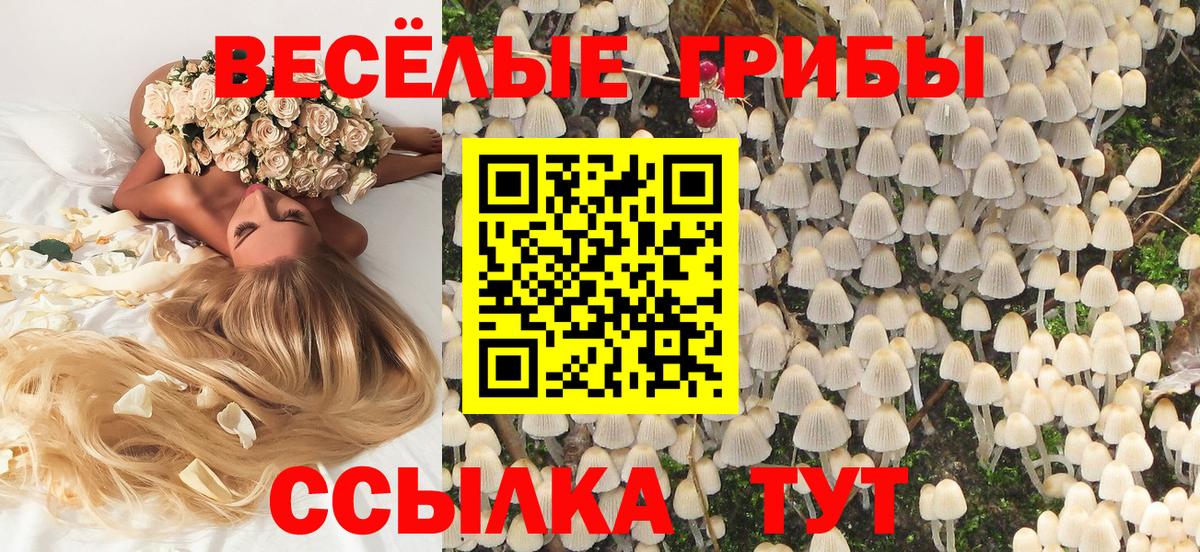 закладка  Вход с VPN  Шелехов  Галлюциногенные грибы прущие грибы 